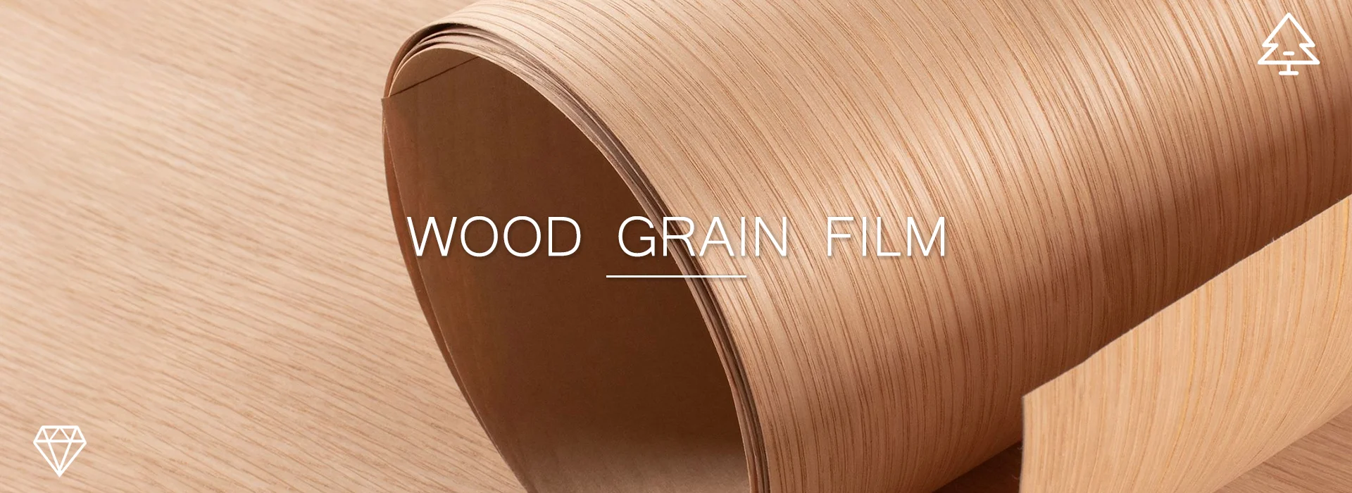 బ్యానర్ 06